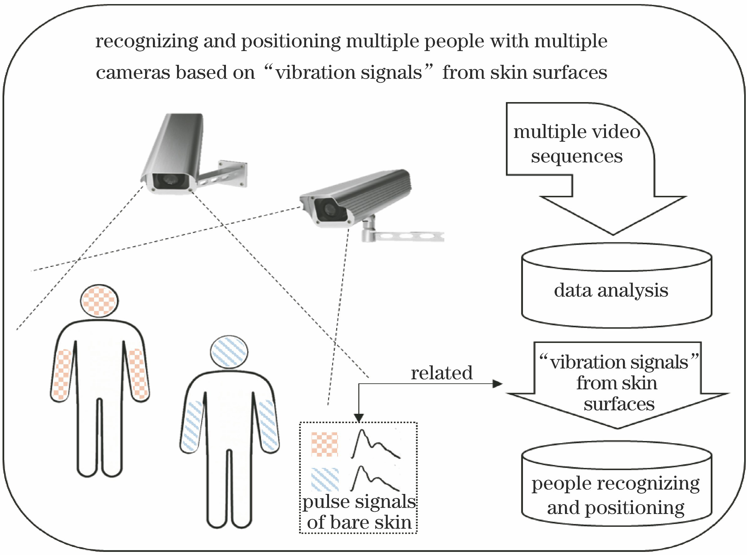 Illustration of multiple people recognition and positioning with multiple cameras based on “vibration signals” from skin surfaces