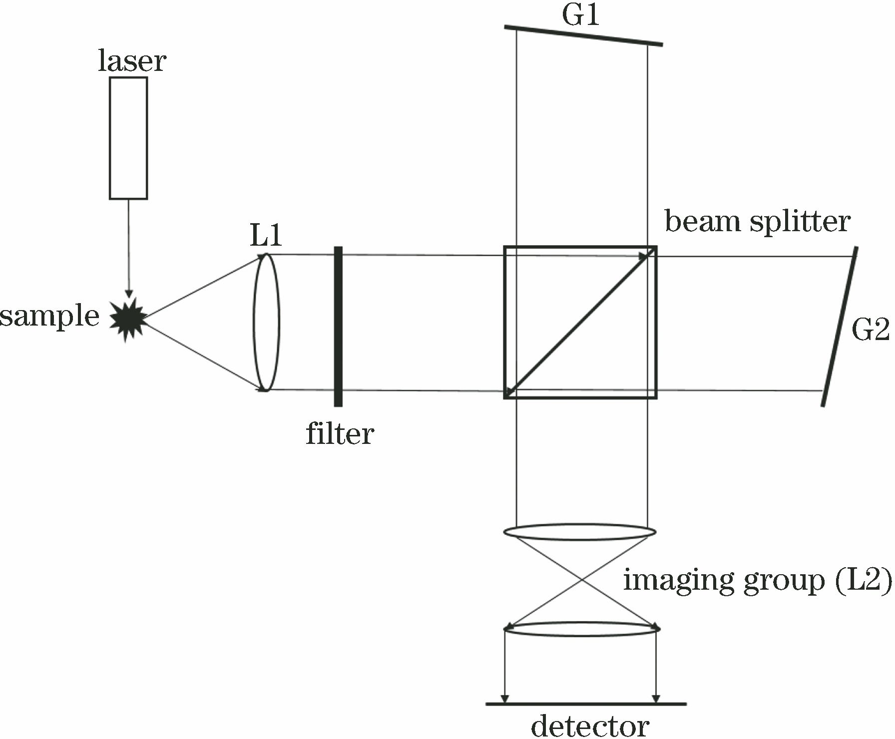 Optical structure of spatial heterodyne Raman spectrometer
