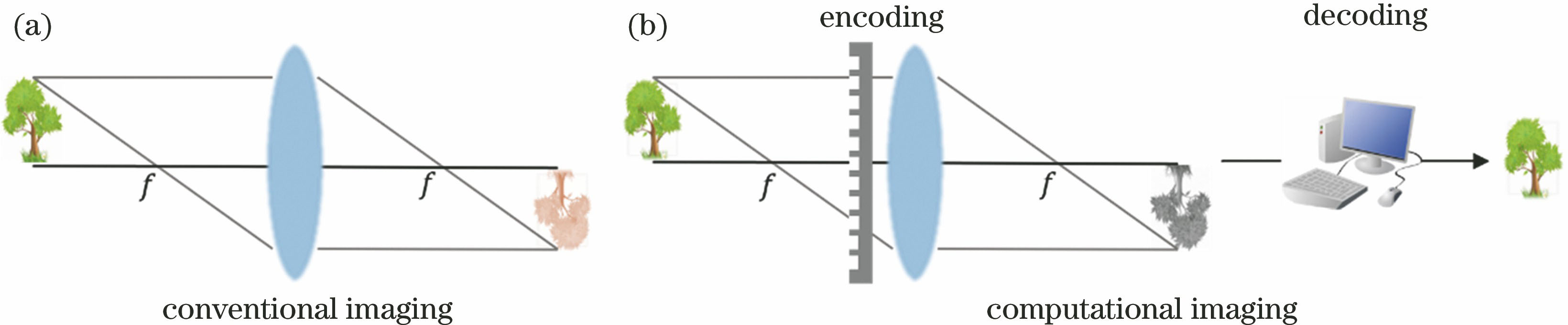Schematic diagram. (a) Conventional imaging model; (b) computational imaging model
