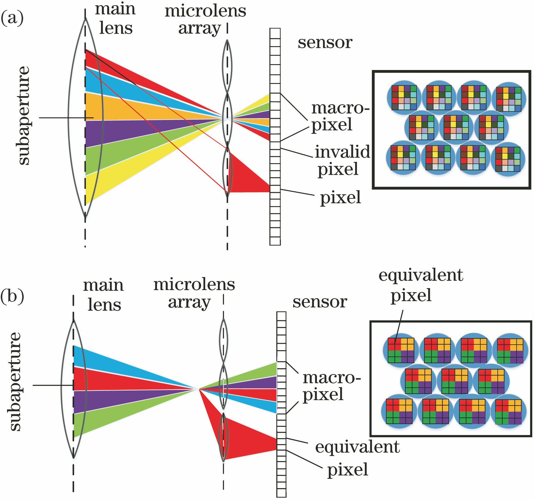 Schematics of light transmission sampling of two plenoptic cameras. (a) Unfocused plenoptic camera;(b) focused plenoptic camera