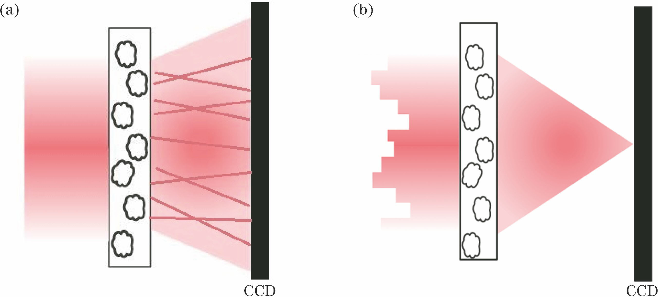 Schematics of focusing of incident laser after passing through scattering medium by modulating wavefront. (a) Random speckle formed by plane wave passing through scattering medium; (b) focal spot formed at specific position by modulated incident laser passing through scattering medium