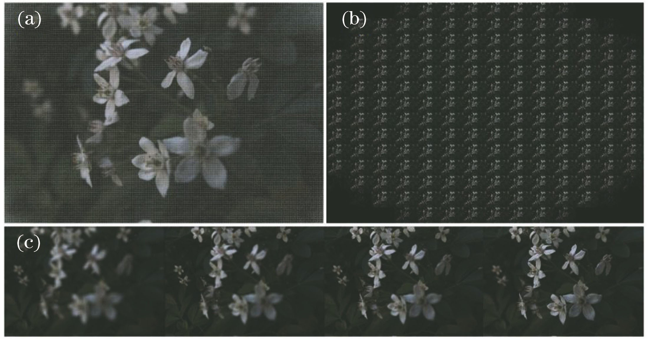 Light field digital refocusing. (a) Sensor image; (b) sub-aperture image; (c) refocused image