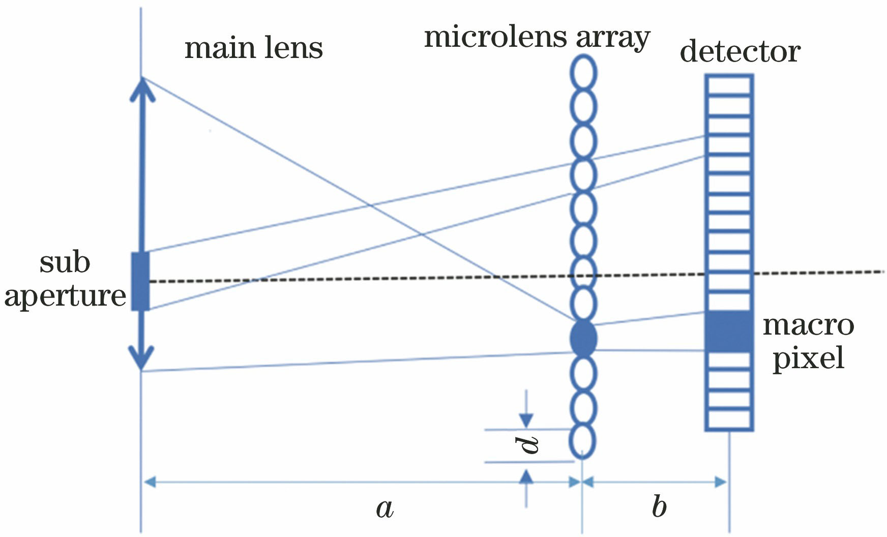 Light field sampling based on microlens array