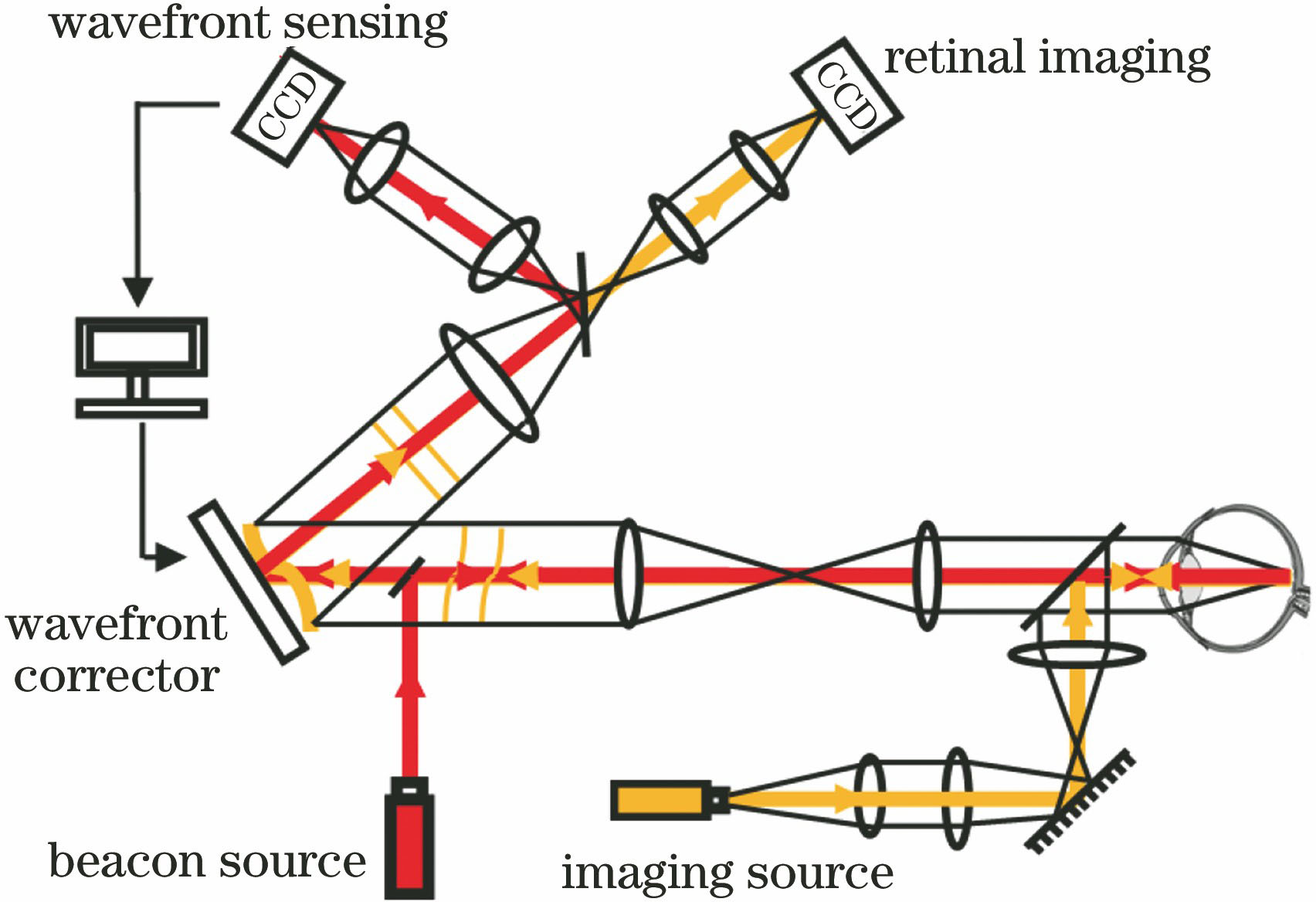 Schematic of human retinal AO imaging system
