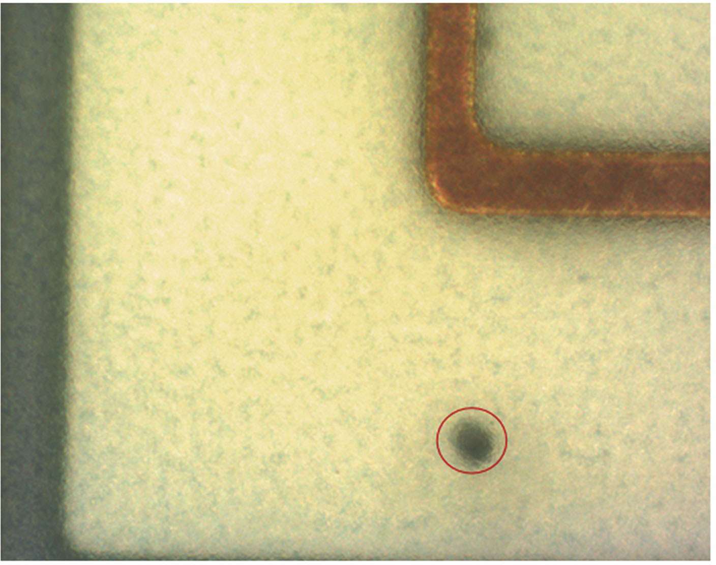 Optical micrograph of ESD black spot
