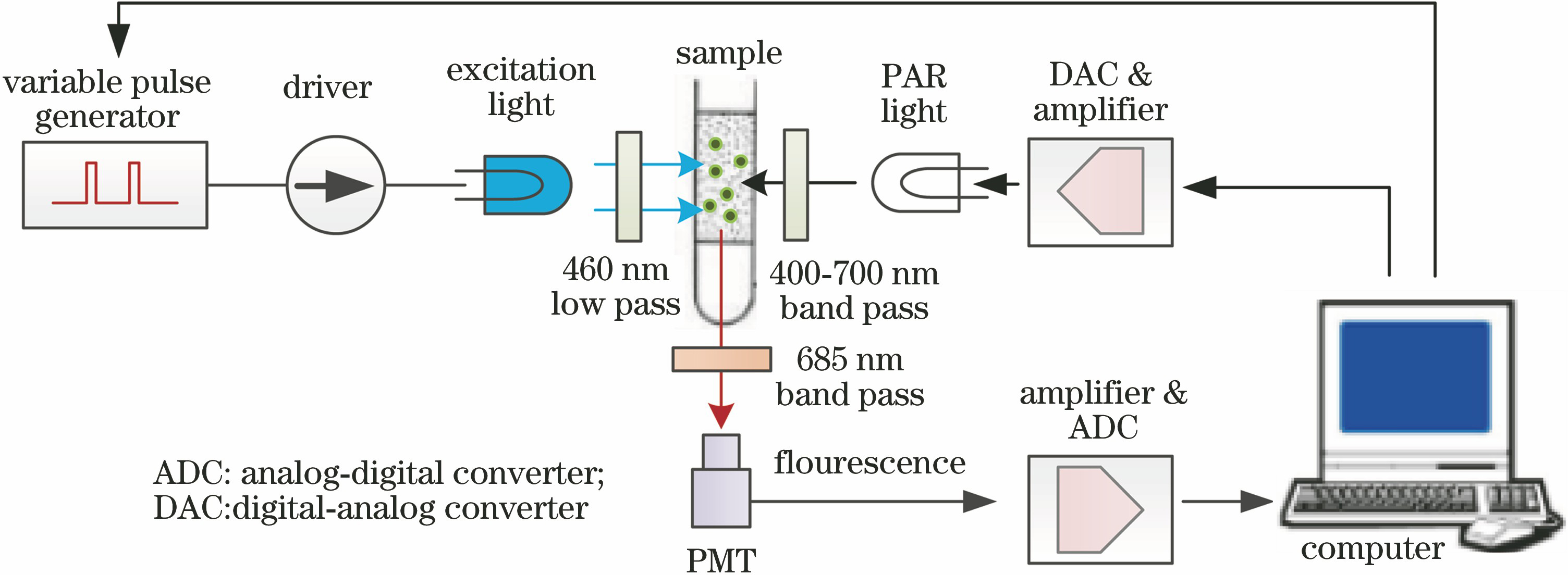 Schematic diagram of chlorophyll fluorescence analyzer induced by variable light pulse
