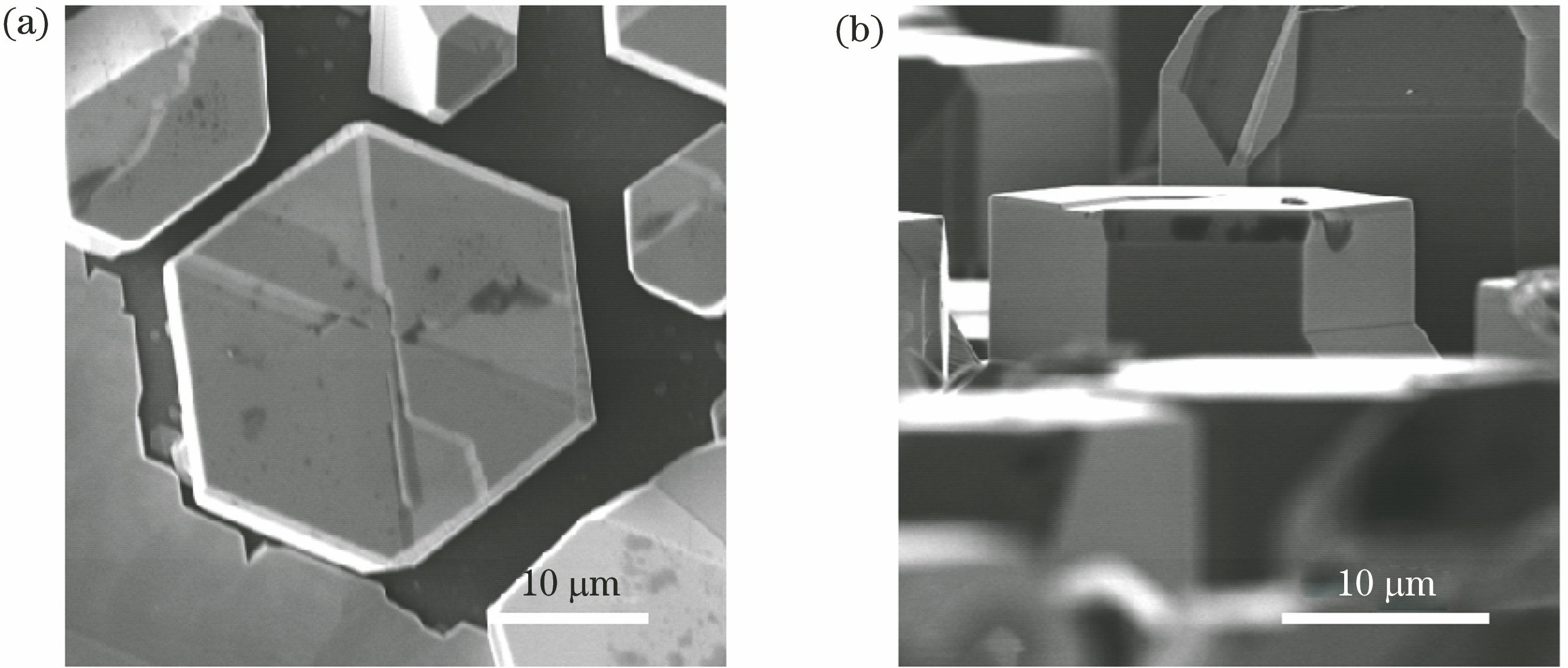 SEM image of GaN microdisk. (a) Top surface; (b) side surface