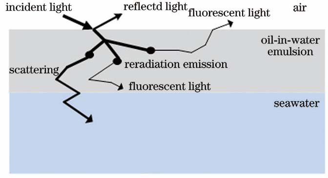 Schematic diagram of photon transmission