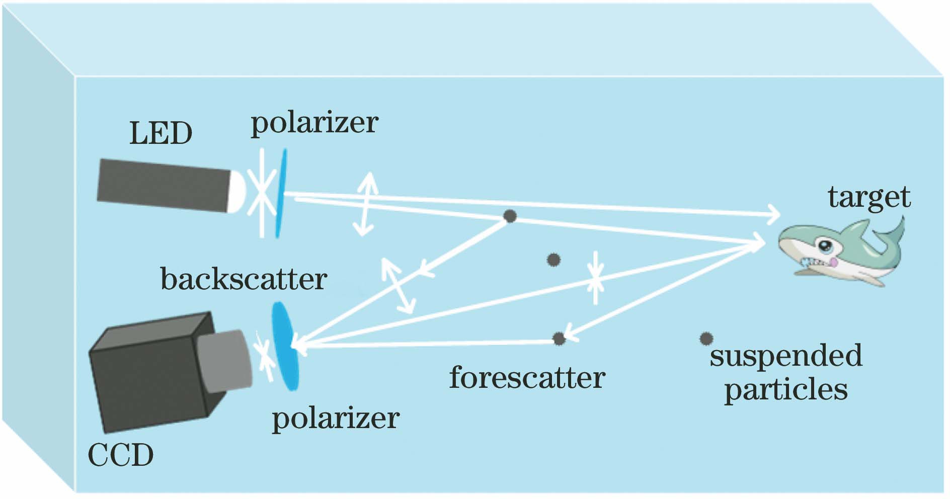 Underwater active polarization imaging model