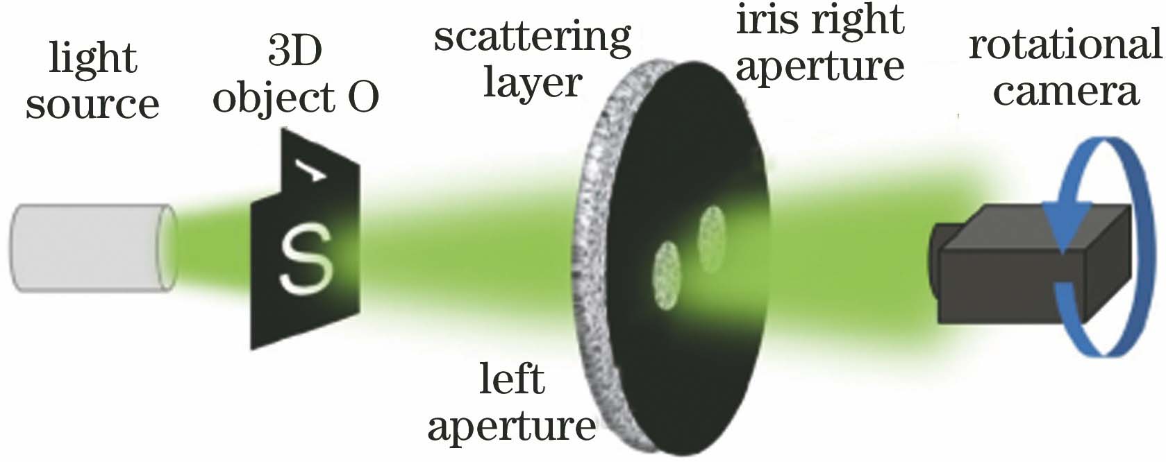 Schematic diagram of single-shot videoing of 3D moving objects through scattering layers