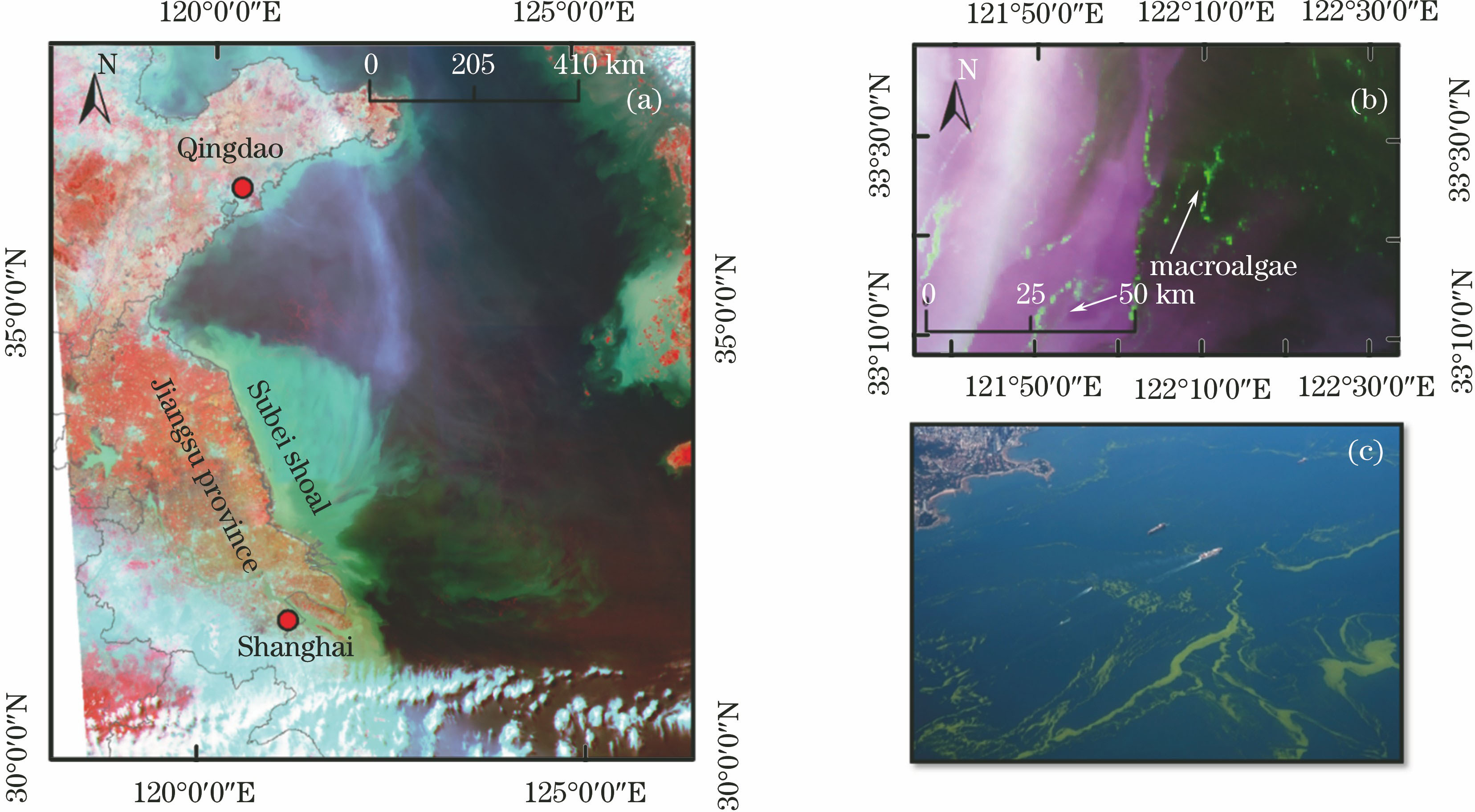 Distribution of Ulva prolifera in Yellow Sea area. (a) Location of Yellow Sea, where RGB image shows pseudo-color composite image of GOCI acquired on 26 May, 2017; (b) true-color composite image of GOCI along coast of Qingdao acquired on 26 May, 2017; (c) aerial photo of Qingdao coast attacked by Ulva prolifera taken on 10 July, 2016