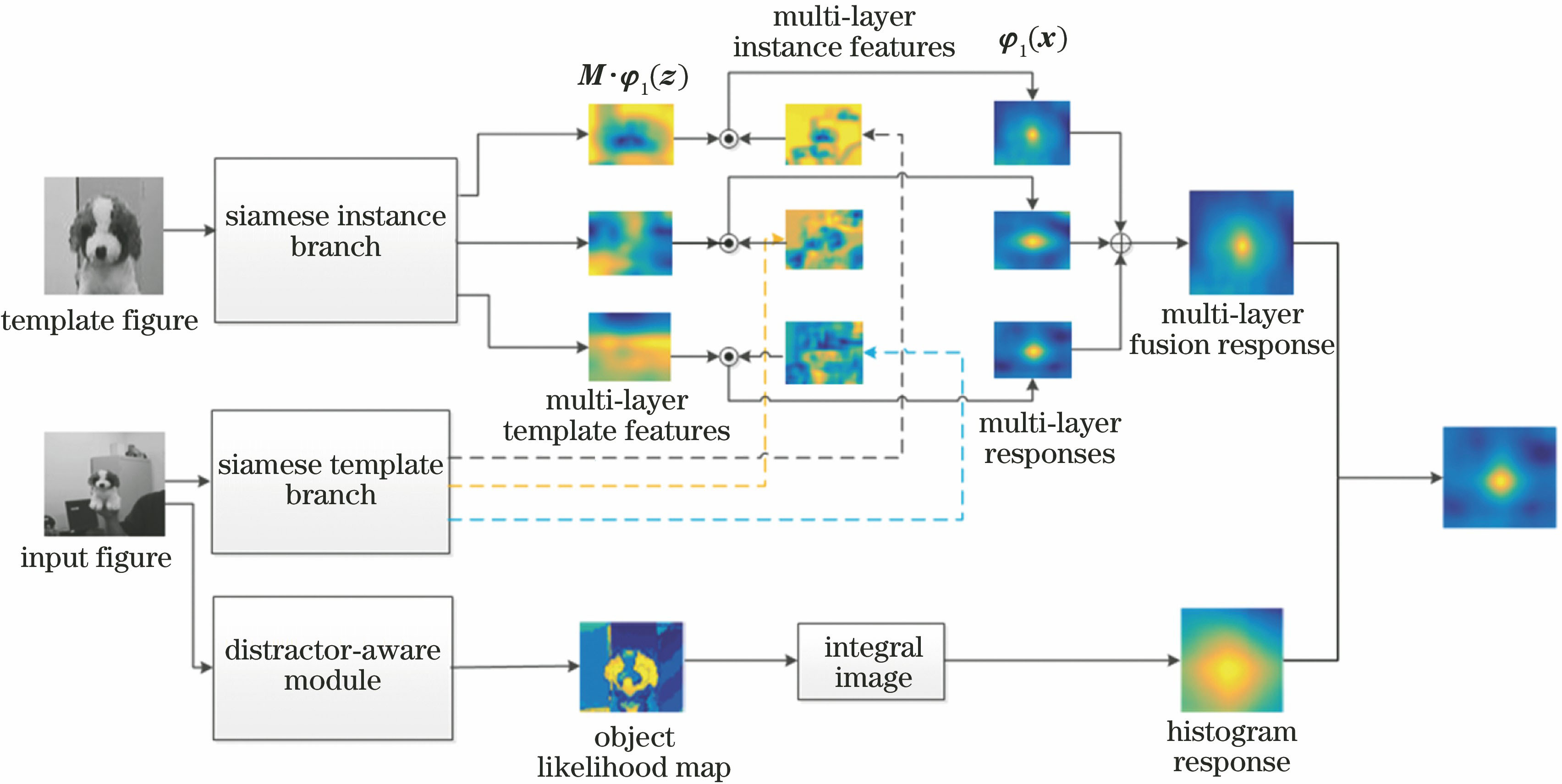 Algorithmic framework diagram in this paper