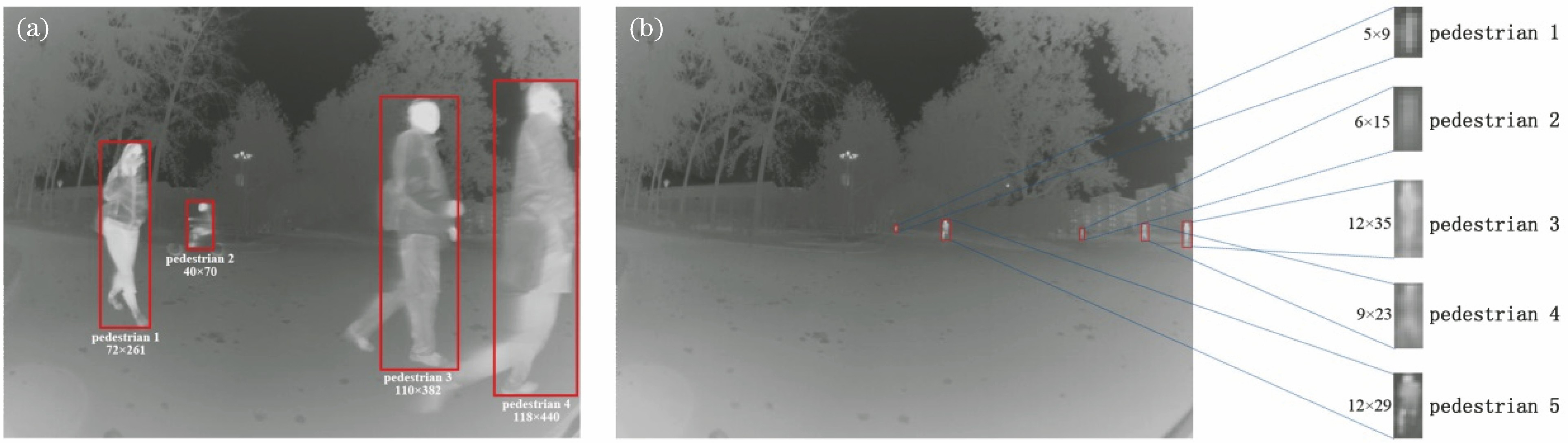 Characteristic of pedestrian in U-FOV infrared images. (a) Large and medium scale pedestrians; (b) small scale pedestrians