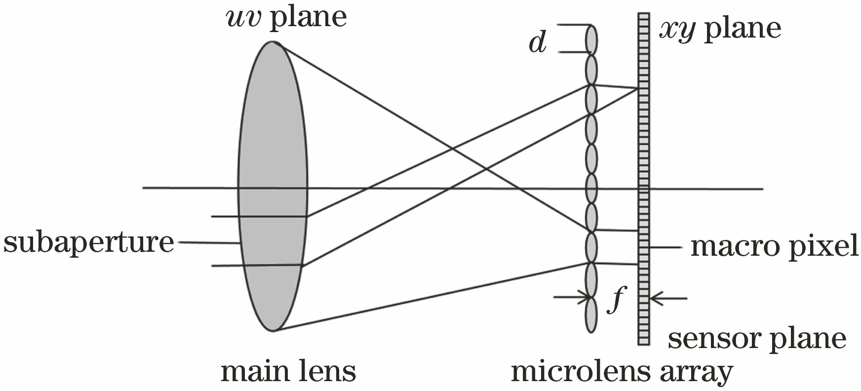 Imaging model of Lytro camera