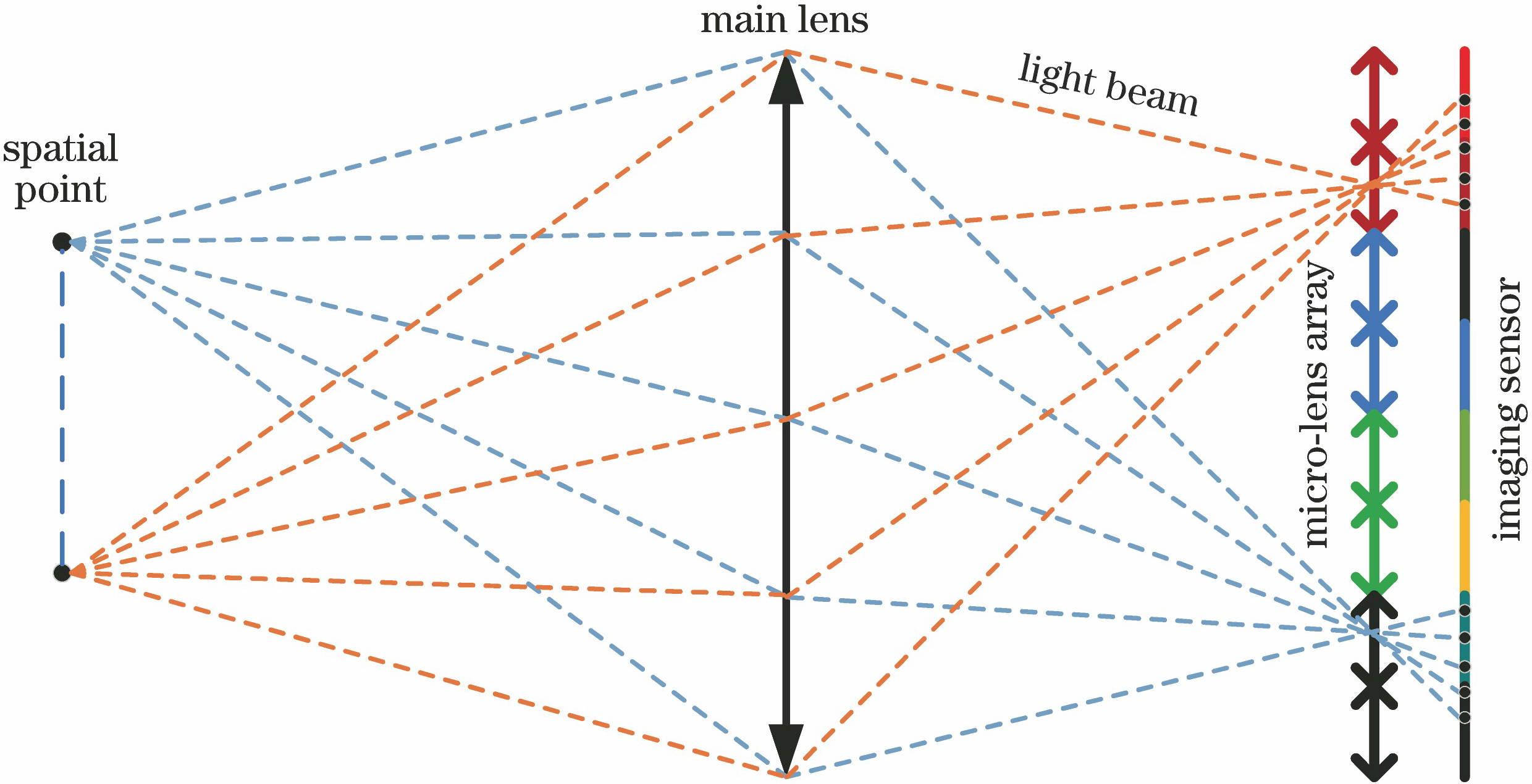 Imaging schematic of light field camera
