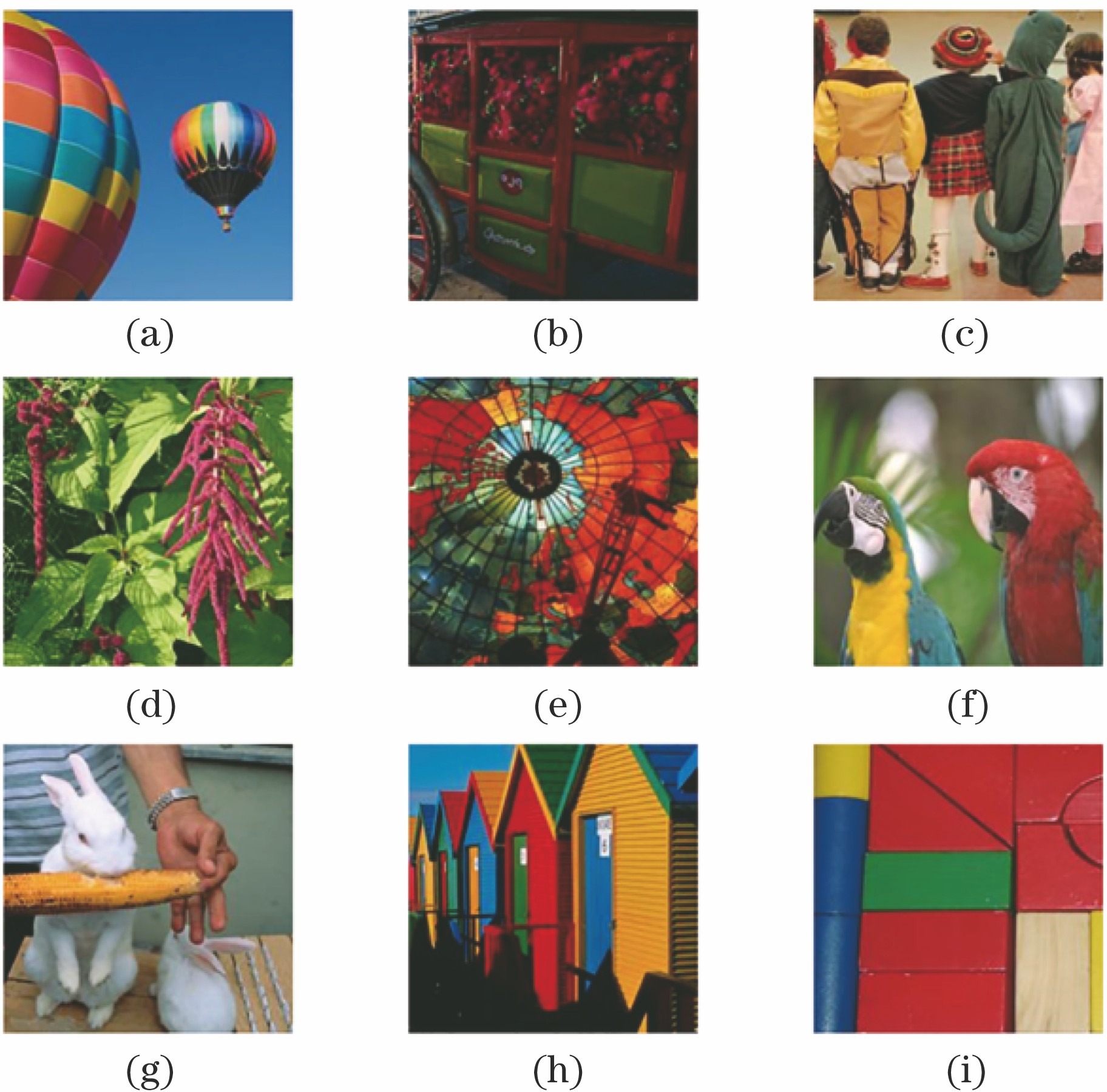 Test images of JND for CR. (a) Balloon; (b) carriage; (c) children; (d) plant; (e) globe; (f) parrot; (g) rabbit; (h) house; (i) toy block