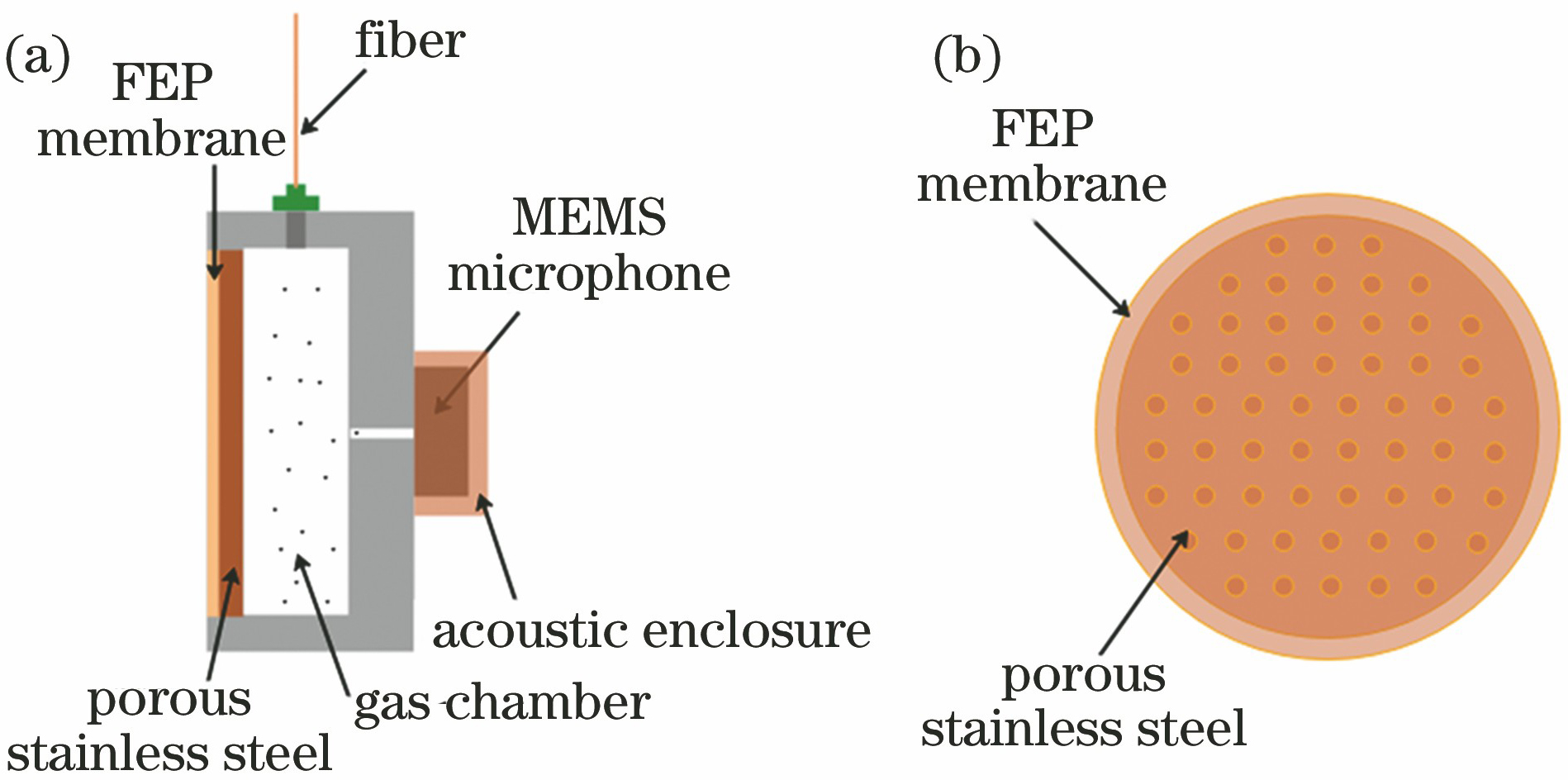 Structure of photoacoustic probe. (a) Schematic of oil-gas separation and integrated sensor probe; (b) structure of oil-gas separation membrane