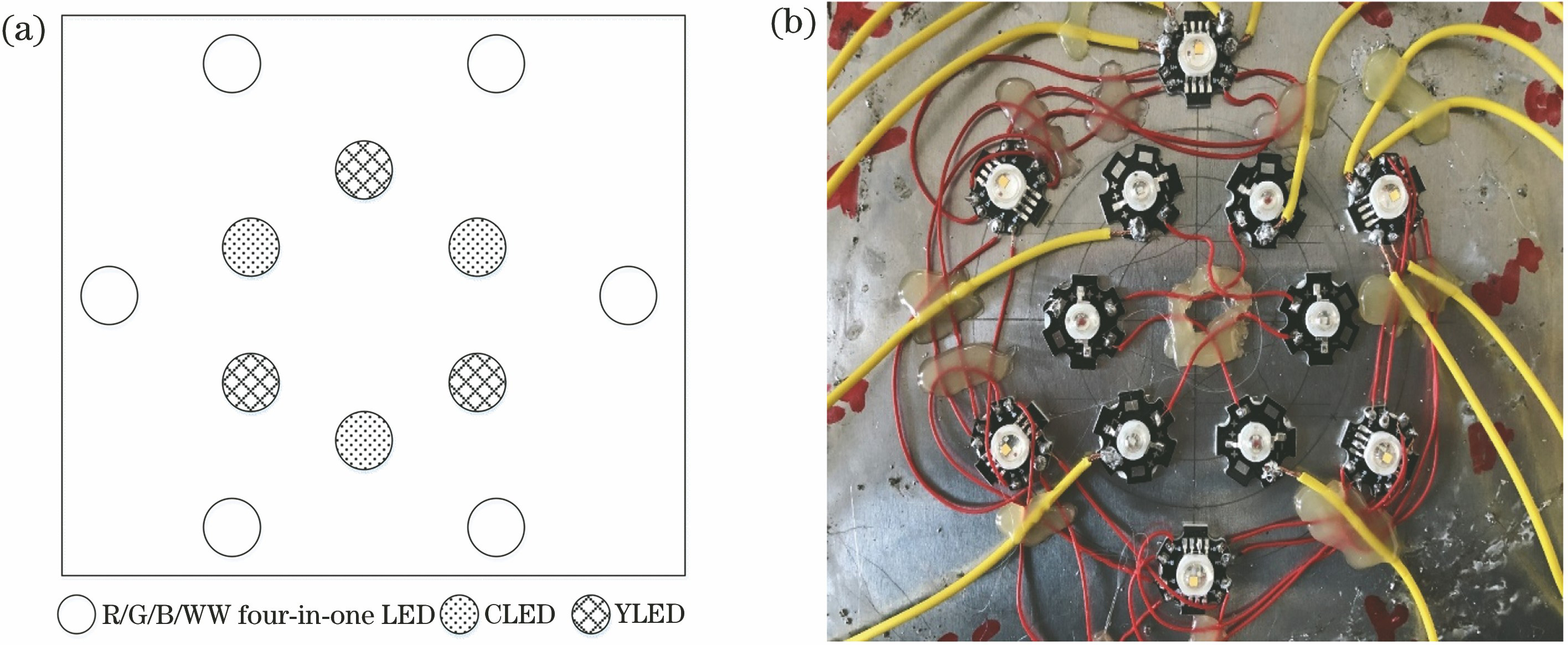 Light source module used in the experiment. (a) R/G/B/C/Y/WW LED lamp bead layout; (b) R/G/B/C/Y/WW LED physical drawing of light source