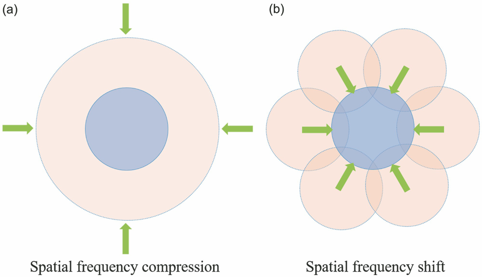 Two basic mechanisms for improving resolution[10]. (a) Frequency compression; (b) frequency shift[11]