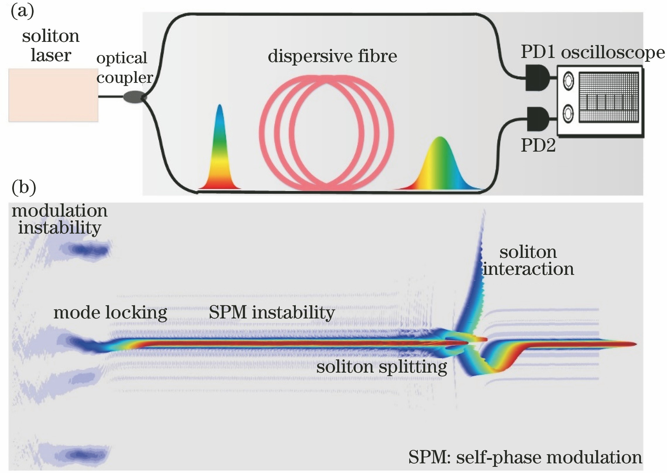 Build-up of dissipative solitons in laser. (a) Real-time measurement system; (b) different stages during build-up of dissipative soliton
