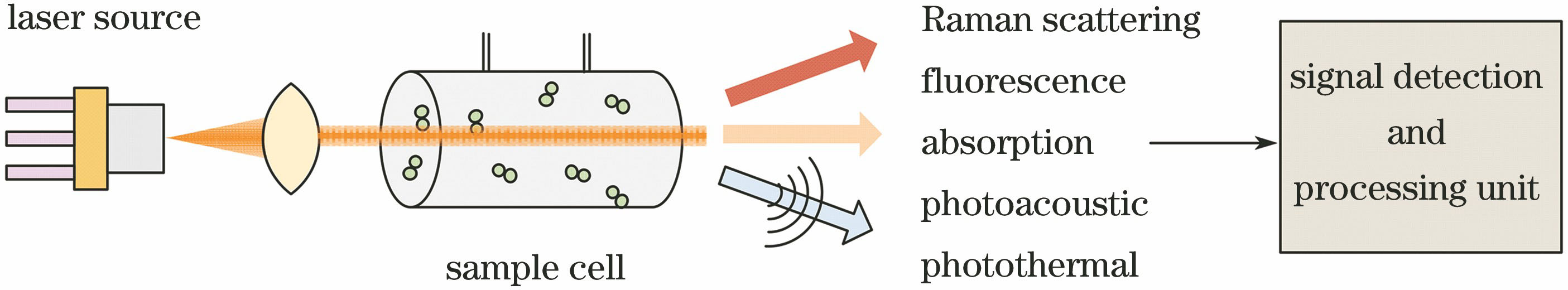 Basic elements of a laser spectroscopy system