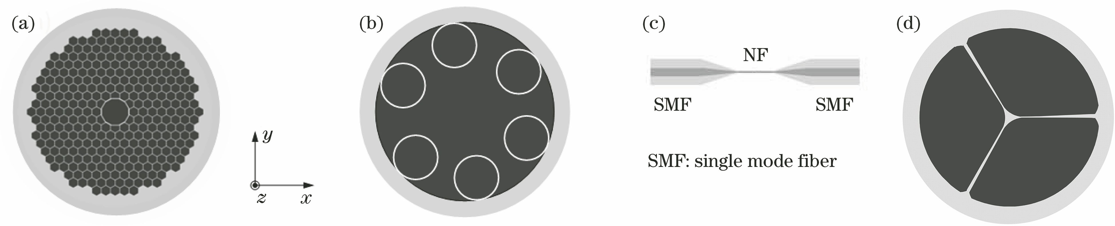 Different types of micro/nano-structured optical fibers that can be used for gas or liquid sample cells. (a) PBG-HCF; (b) AR-HCF; (c) NF; (d) SCF