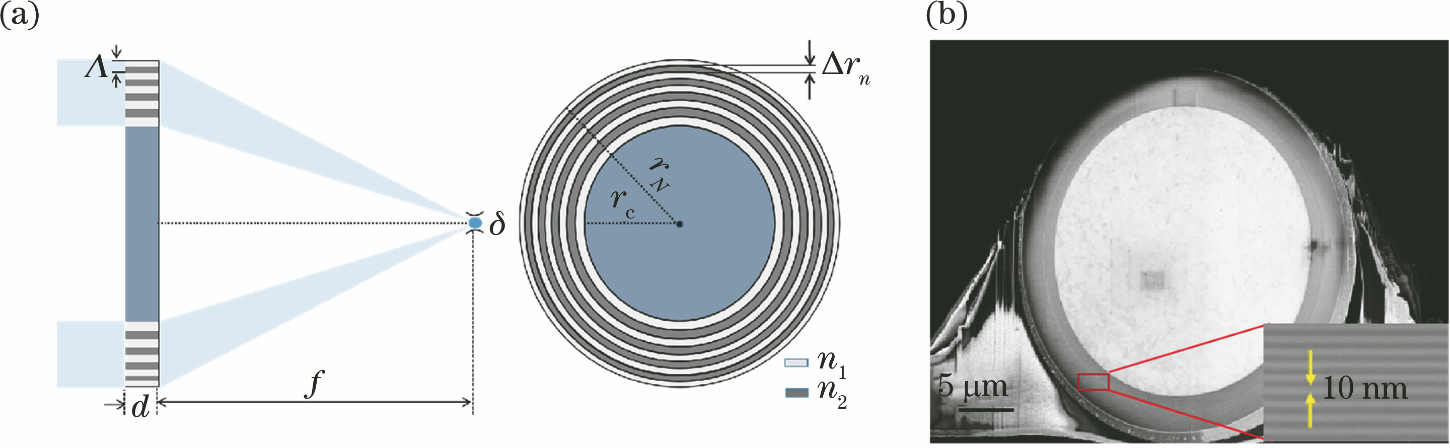 Structure of the hard X-ray FZP. (a) Schematic diagram of the PZP structure; (b) SEM image
