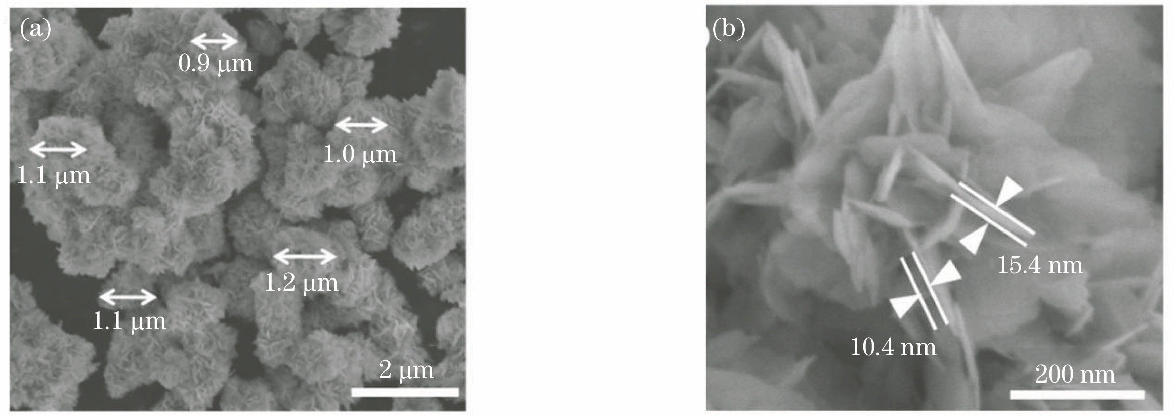 SEM images of BiOCl0.33Br0.33I0.33 composite catalyst