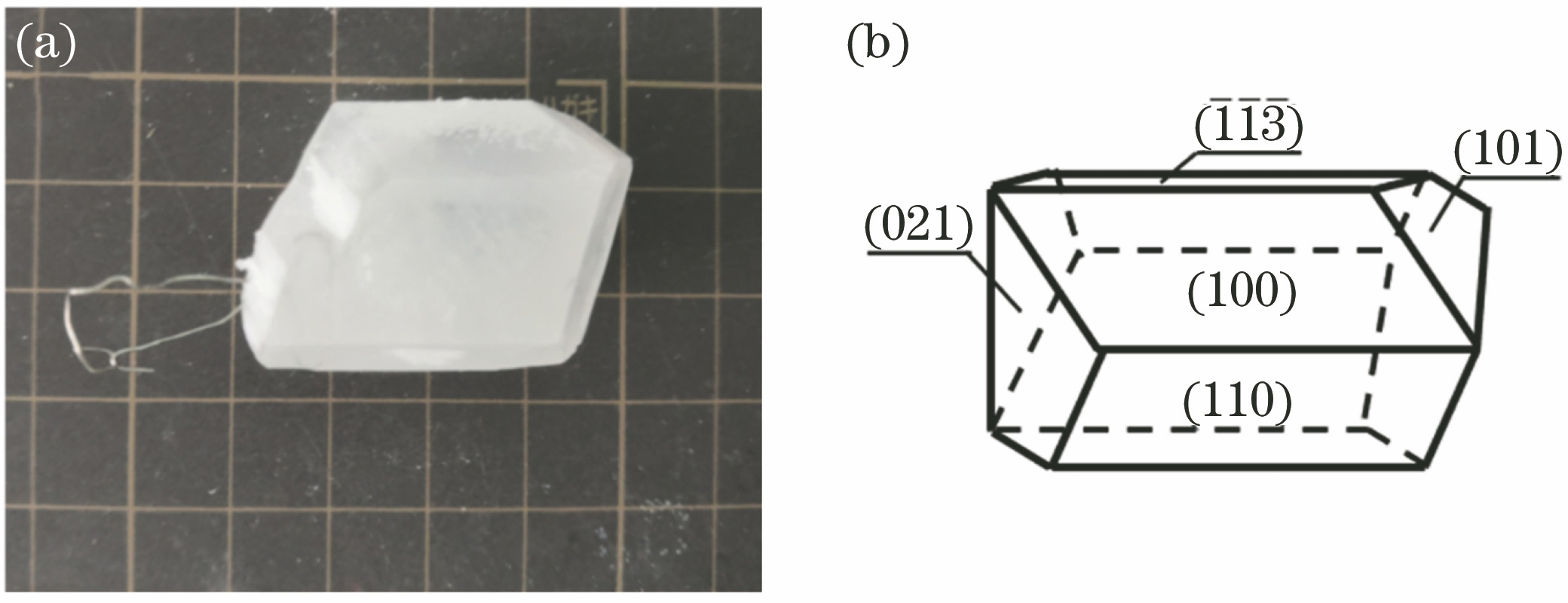 LMO ingot grown with our aqueous solution method and its outline drawing. (a) Photo of LMO ingot; (b) outline drawing