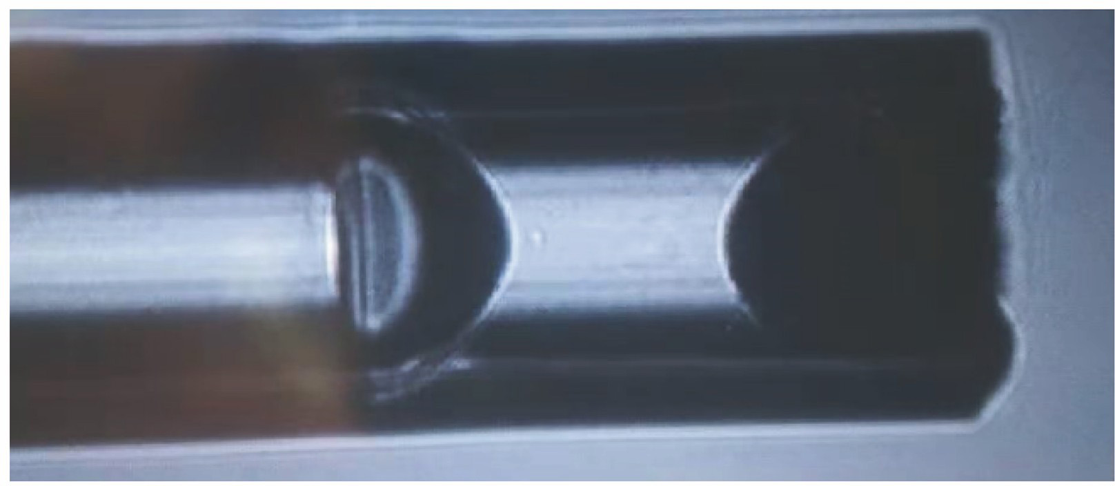 Physical image of optical fiber FPI hydrogen sensor based on PDMS filling