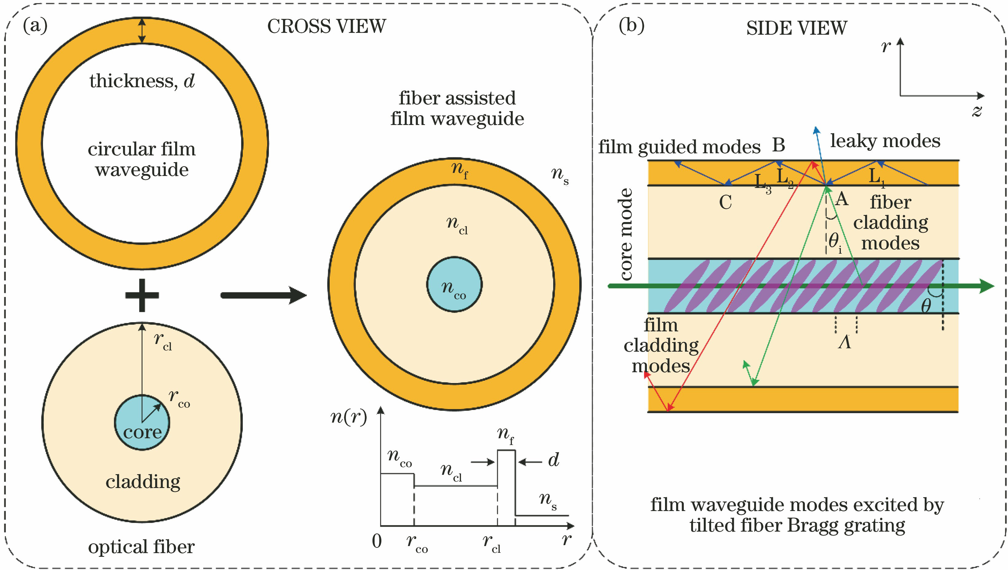 Configuration of optical fiber assisted circular thin film waveguide and generation mechanism of thin film waveguide modes. (a) Cross view, optical fiber assisted circular thin film waveguide and refractive index distribution; (b) side view, mode coupling principle of thin film waveguide mode excited by TFBG