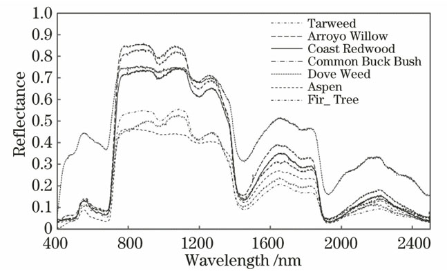 Vegetation reflectance from ENVI spectral library