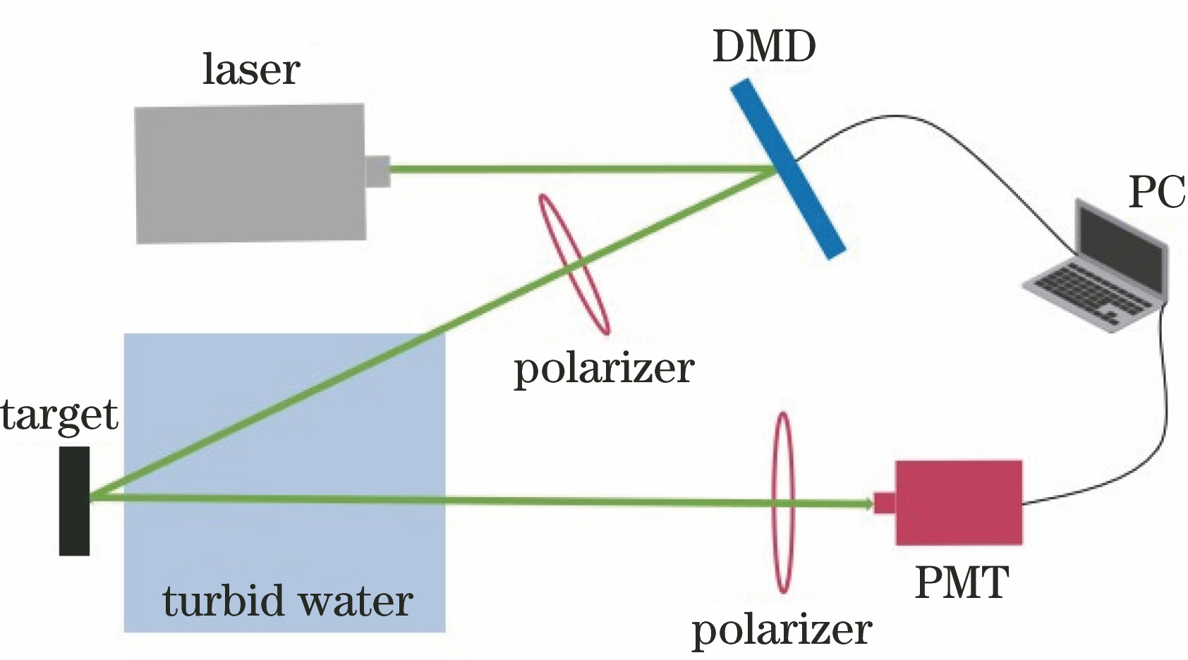 Pprinciple structure of turbid media polarization GI