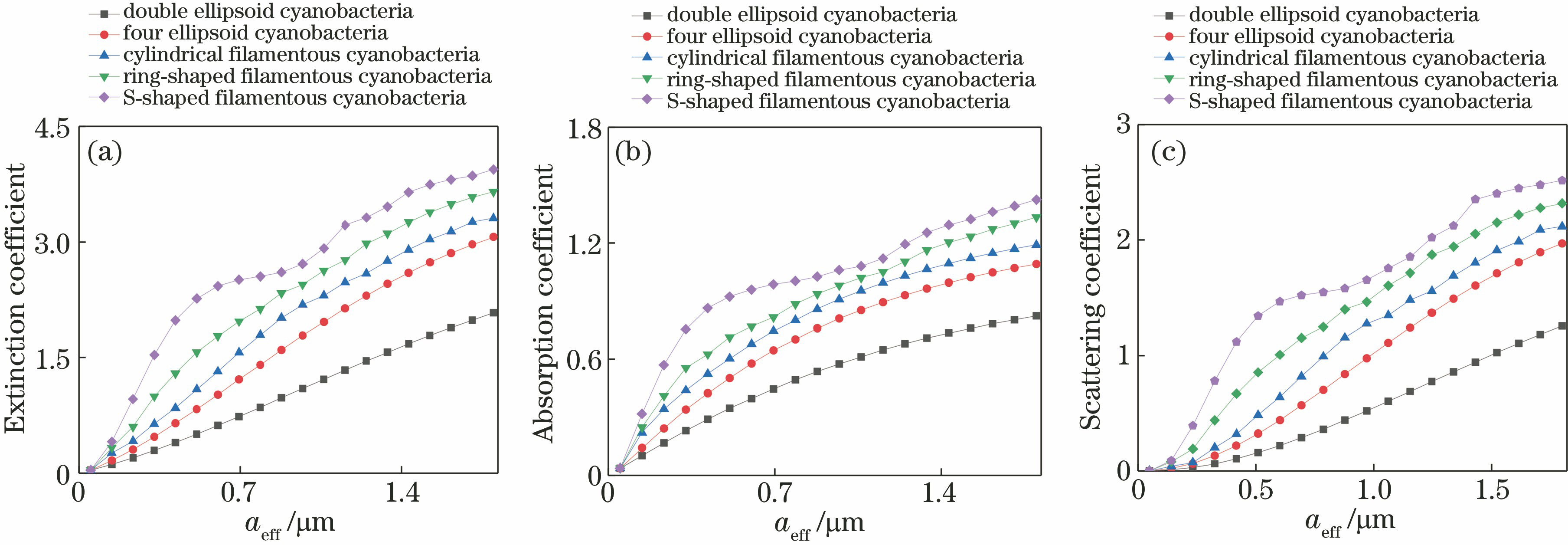 Relationships between optical parameters of five core-shell cyanobacteria models and single particle size. (a) Extinction coefficient; (b) absorption coefficient; (c) scattering coefficient