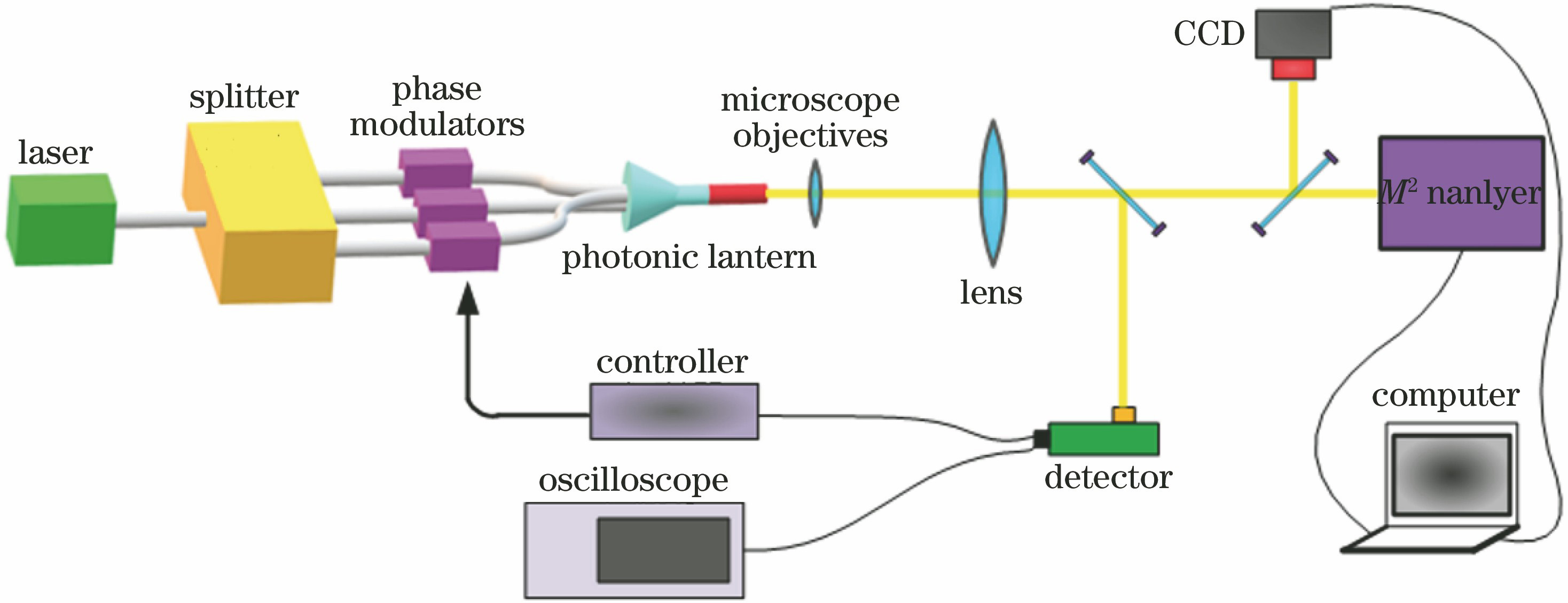 Spatial pattern adaptive control system based on photonic lantern
