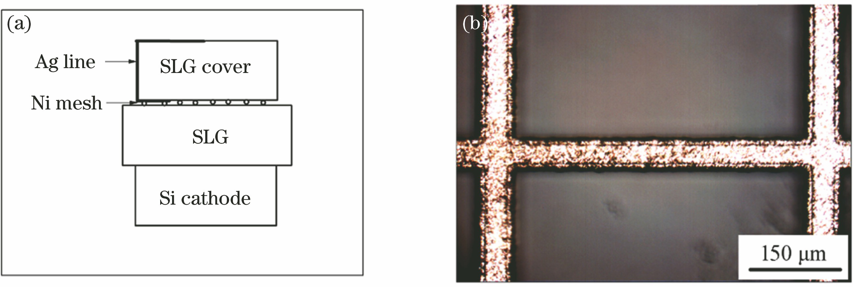 Schematic of microthermal poling sandwich and image of Ni mesh. (a) Schematic; (b) image of Ni mesh