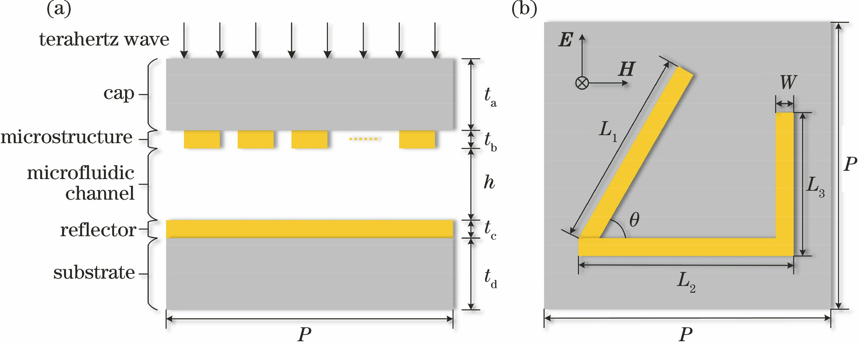 Terahertz microfluidic sensor. (a) Sensor structure; (b) unit metal structure