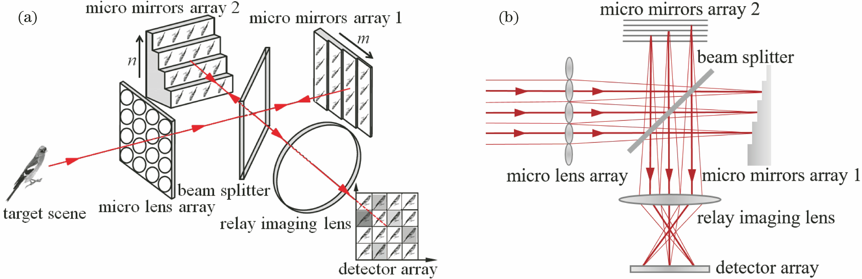 Principle diagram of snapshot Fourier transform imaging spectrometer. (a) Structure; (b) optical path