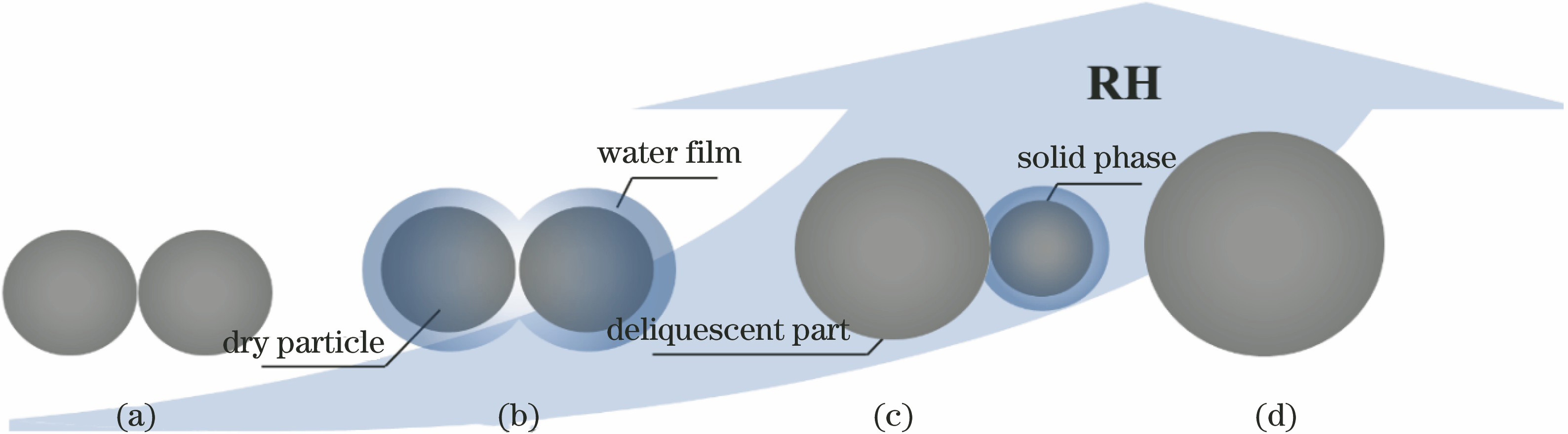 Diagram of moisture absorption model of two-particle agglomerated hydrophilic aerosol. (a) Dry agglomerated aerosol; (b) wet agglomerated aerosol before first deliquescence; (c) wet agglomerated aerosol for first deliquescence; (d) wet agglomerated aerosol for second deliquescence