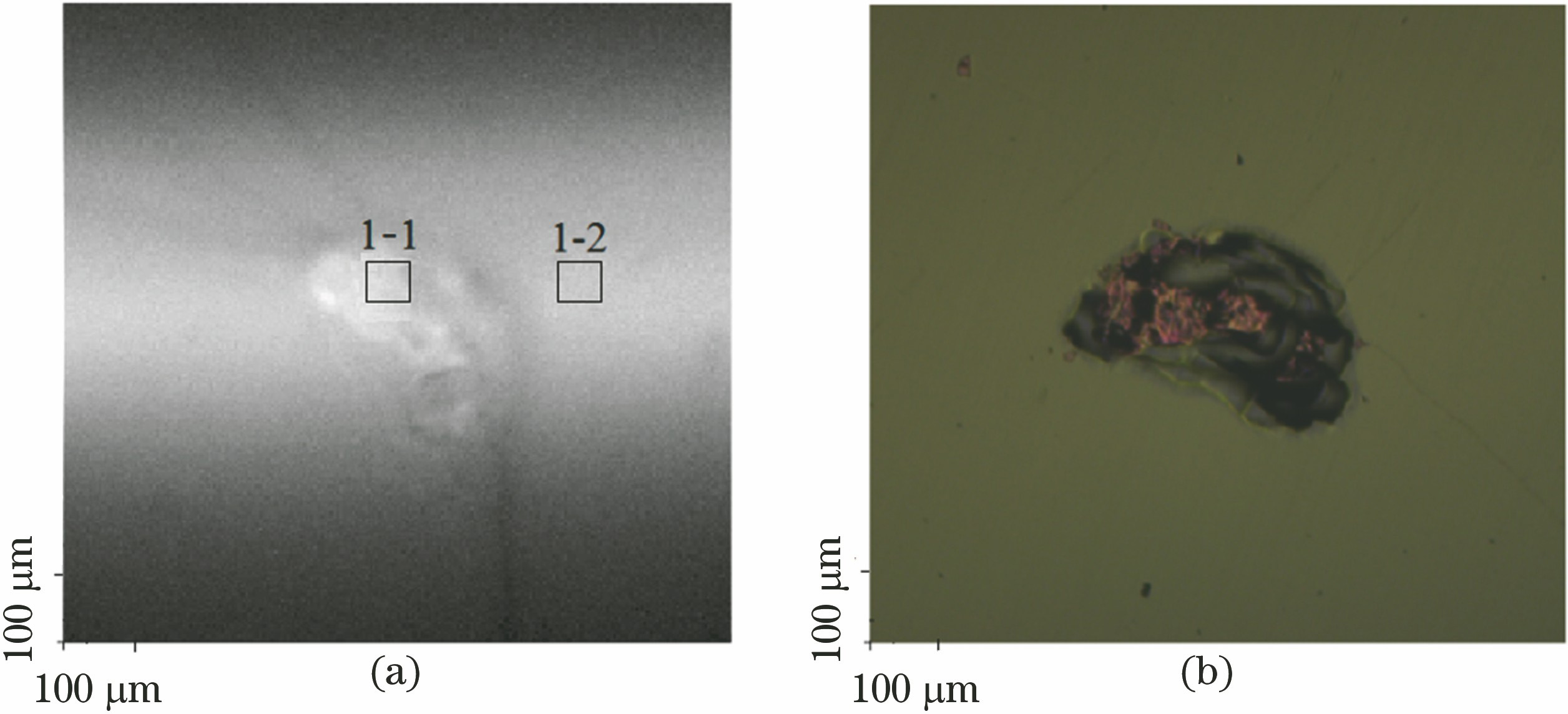Surface SXI and optical microscope images for sample 1. (a) SXI image; (b) optical microscope image