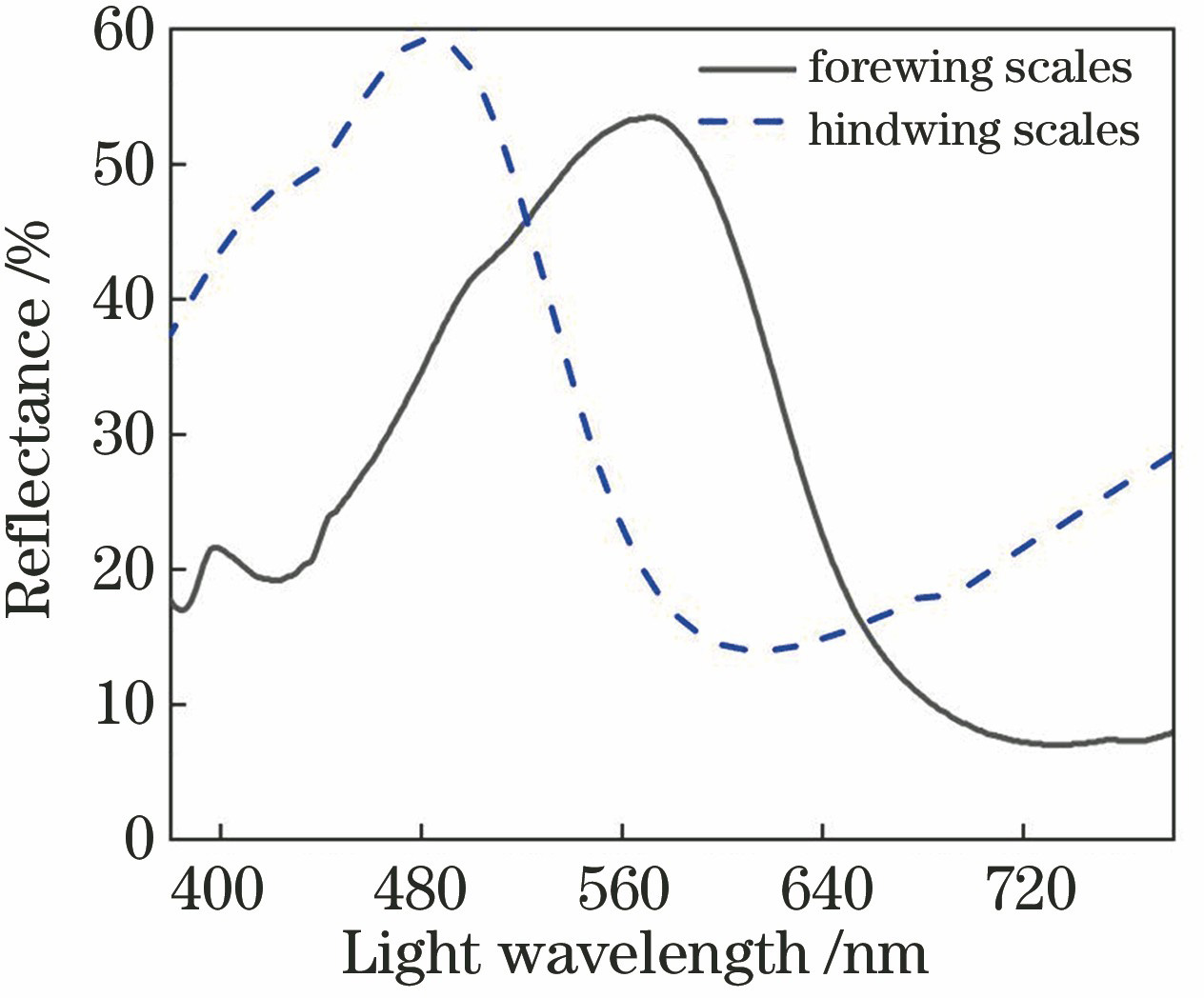 Reflectance spectrum characteristics of the scales with structural color