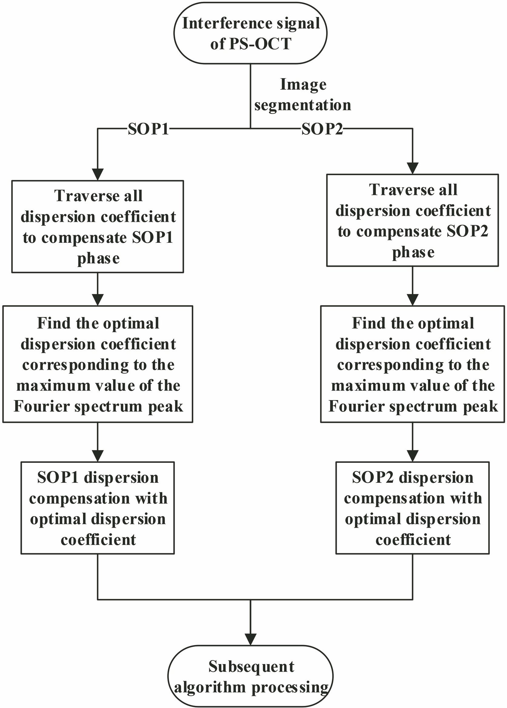 Flow chart of double-state numerical dispersion compensation method