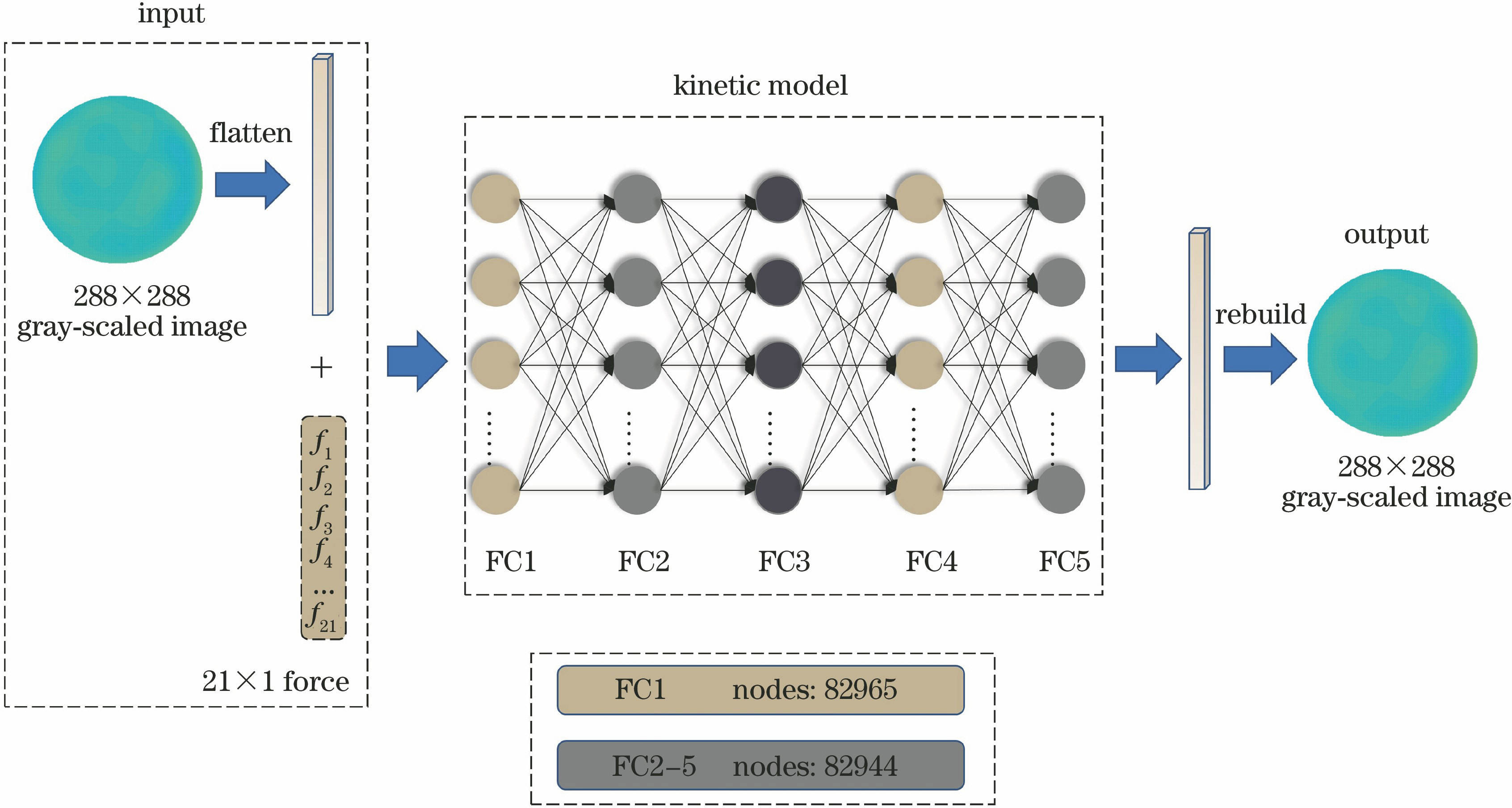 Framework and parameters of kinetic model