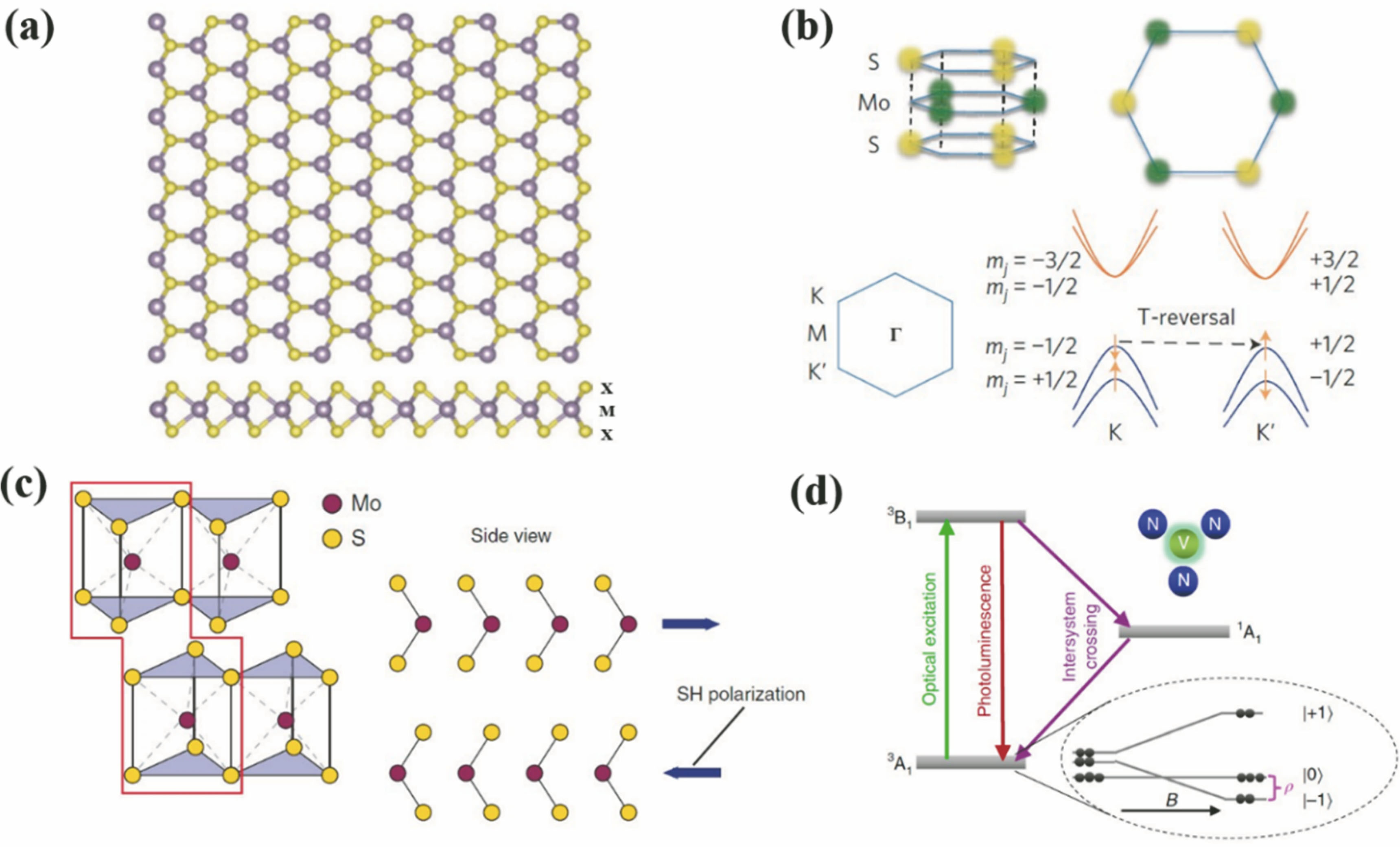 Schematics for some fundamental properties of 2D semiconductors. (a) Schematic of atomic structure of TMD MX2[13]; (b) upper: triangular prismatic structure and honeycomb lattice structure of monolayer MoS2; lower: hexagonal structure of valley band of degenerate states (K and K') and selection rule of valley band transition[36]; (c) 2H phase of monolayer TMD hexagonal lattice and SHG under symmetry breaking of spatial inversion[37]; (d) schematic of single photon properties of defect states in 2D materials[38]
