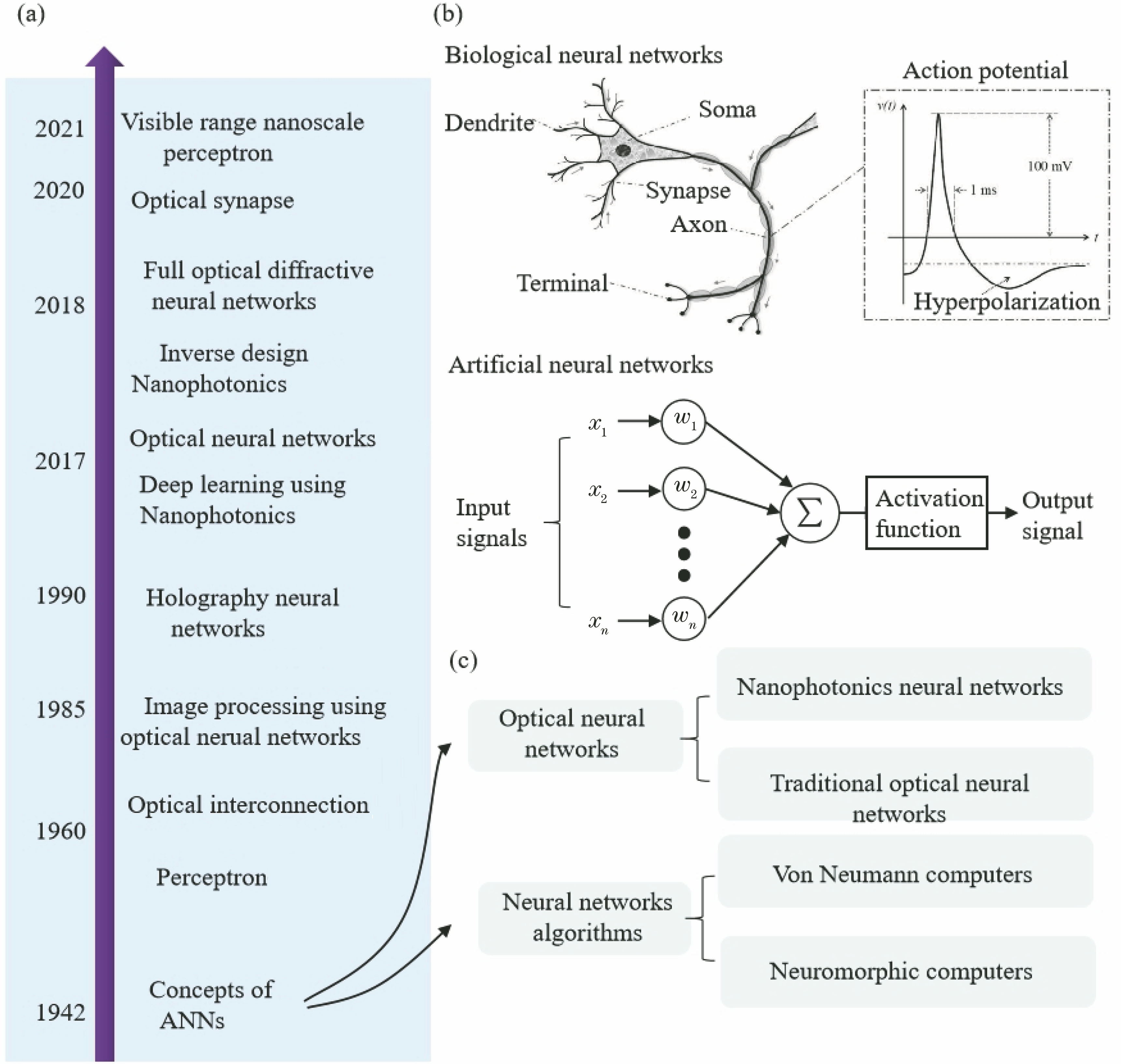 Concepts of artificial neural networks, and development timeline of optical neural networks. (a) Development timeline of optical neural networks; (b) features of structures and signals of biological neural networks[18] and basic principle of artificial neural networks (x1, x2, and x3 represent input signals, and w1,w2, and wn represent calculation weights); (c) general categories of artificial neural networks
