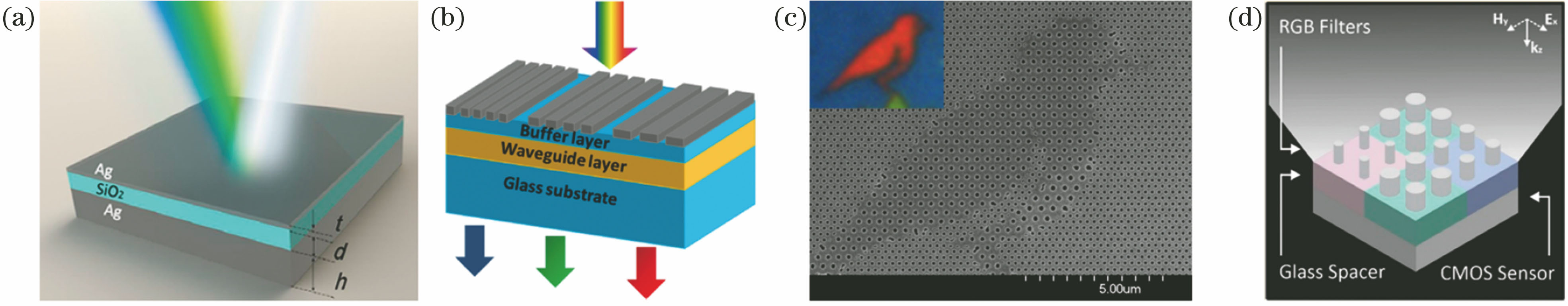 Typical color filter with micro-nano structure. (a) Structure of planar cavity[63]; (b) structure of grating waveguide[31]; (c) structure of metal nanohole array[76]; (d) dielectric nanostructures[34]