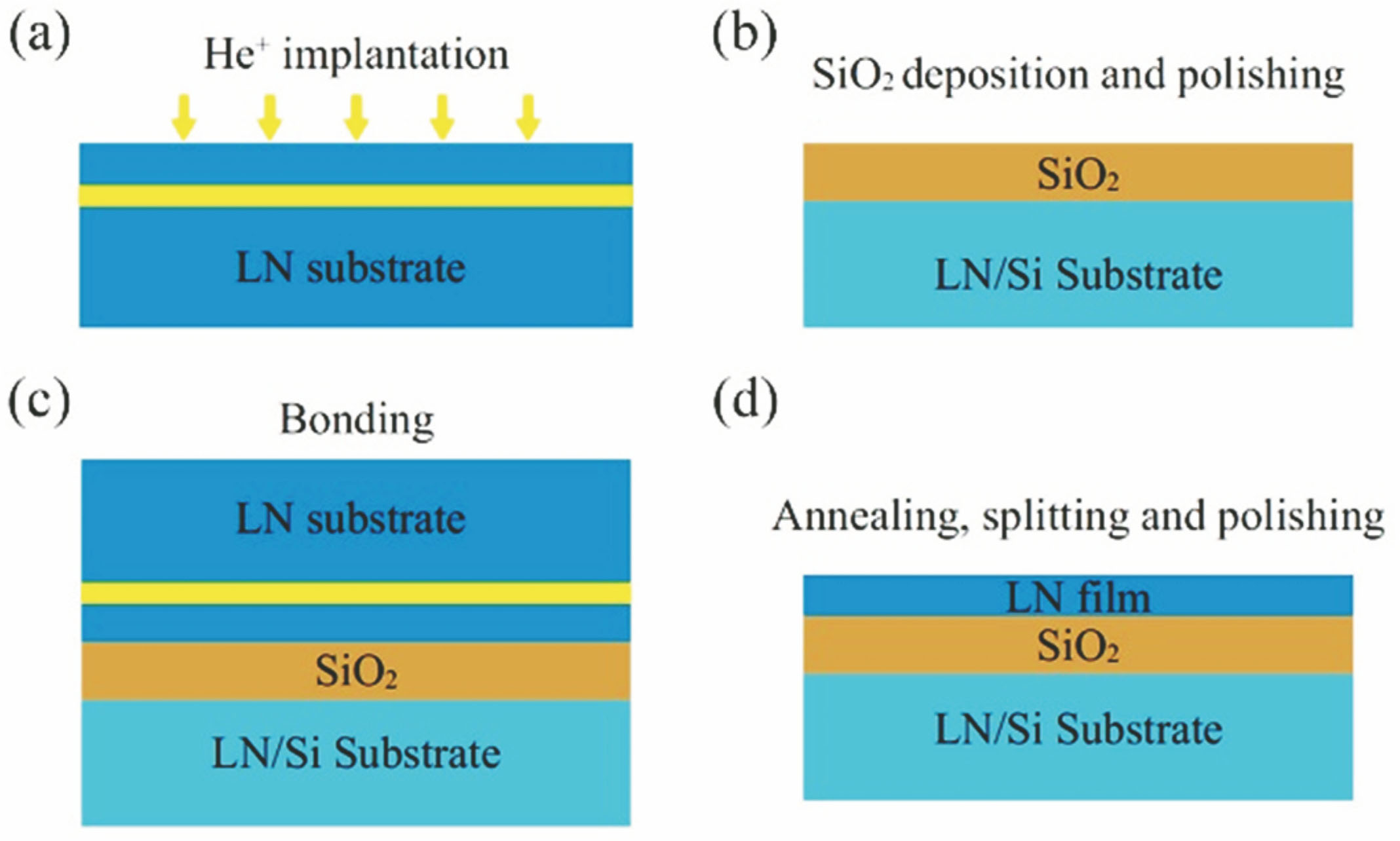 Procedure of LNTF fabrication. (a) He+ implantation; (b) SiO2 deposition and polishing; (c) crystal bonding; (d) annealing, splitting, and polishing