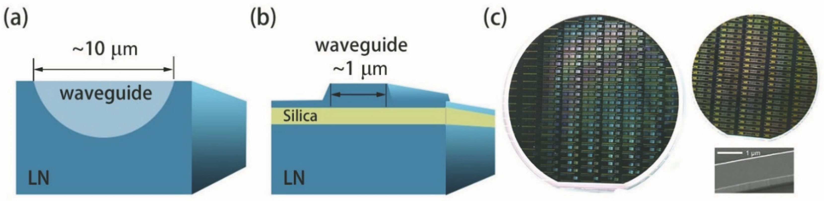 LN waveguides and integrated photonic chips. (a) Proton exchanged LN waveguide; (b) LNOI ridge waveguides; (c) scalar production of PIC on LNOI using ultraviolet lithography and dry etching[8]