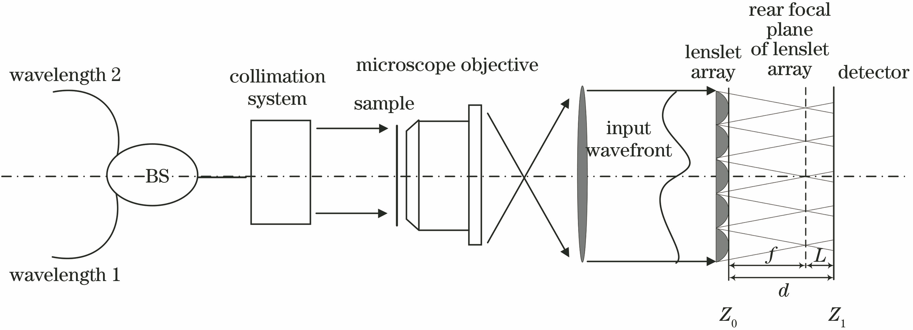 Diagram of experimental setup for quantative phase imaging
