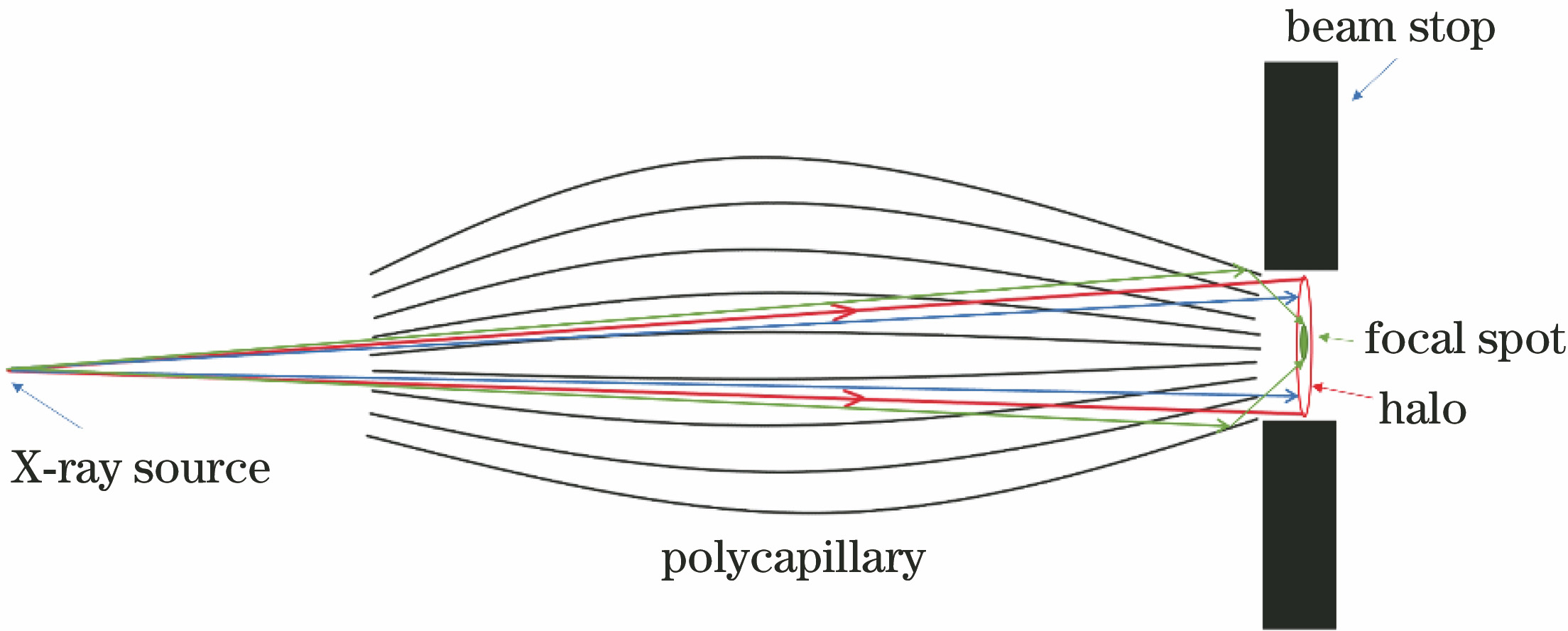 Schematic of X-ray penetrating polycapillary lens